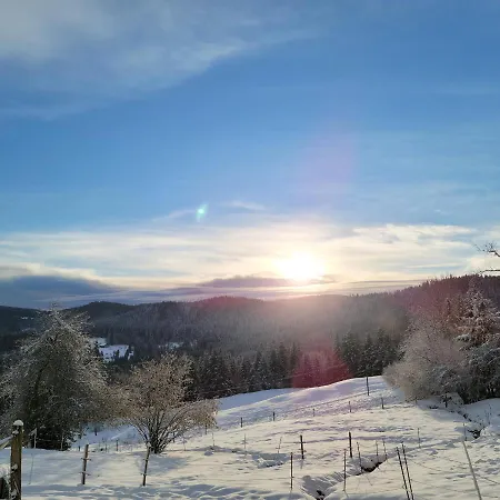 Appartamento La Ferme Du Badon Gérardmer Esterno foto