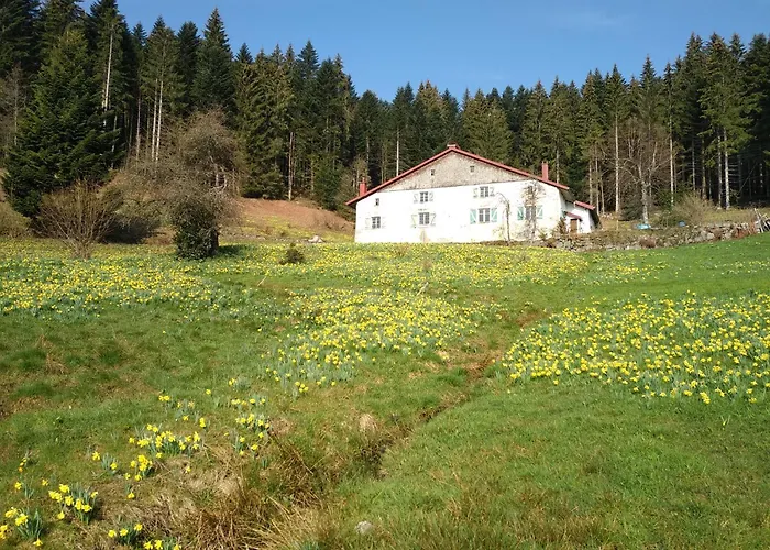 La Ferme Du Badon